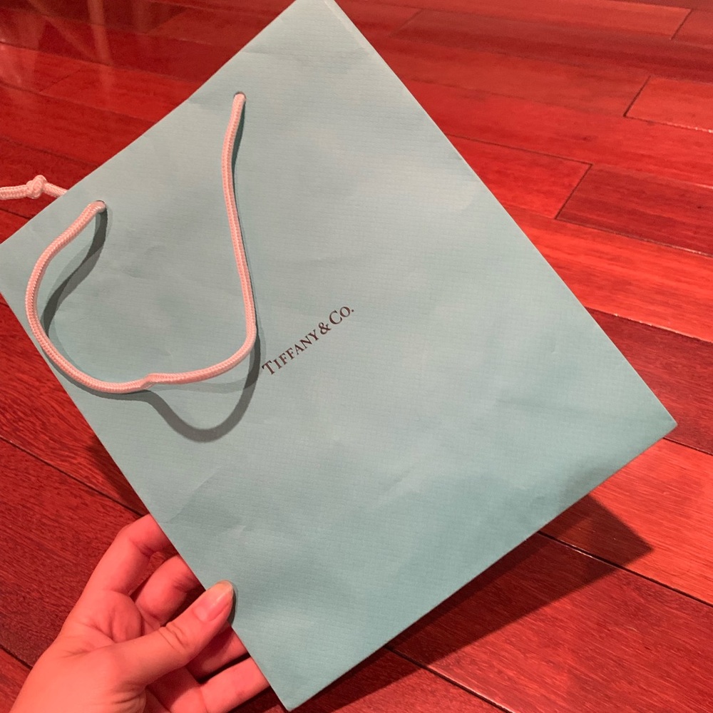 Tiffany & Co. MEDIUM Gift Bag